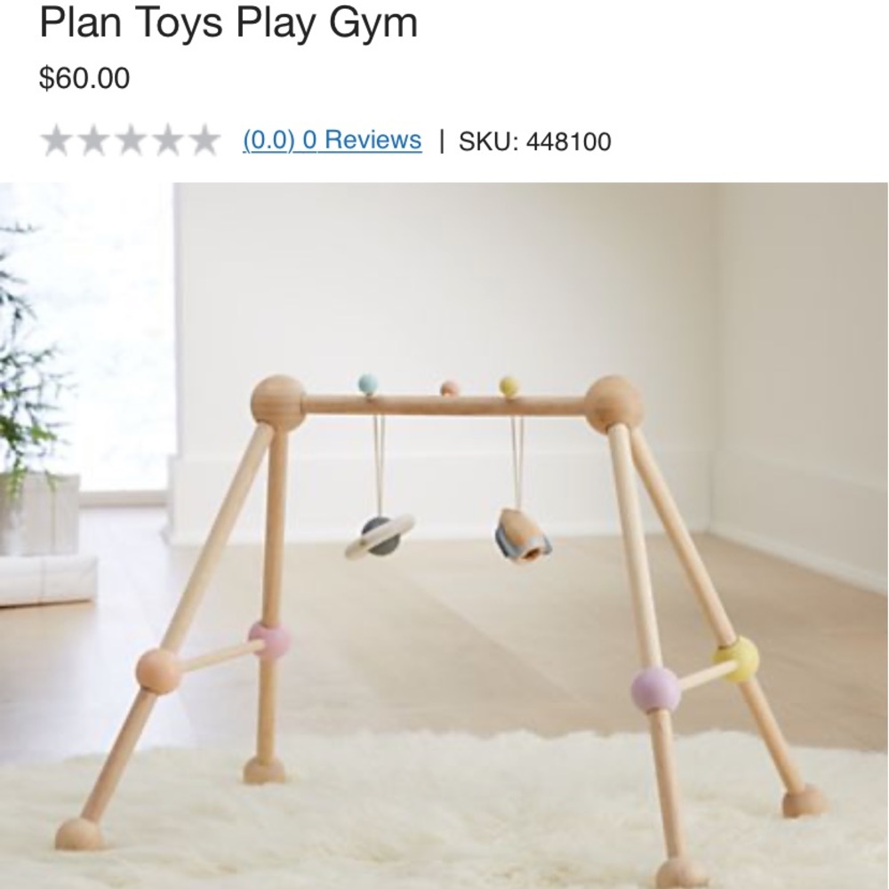 Plan Toys Play Gym